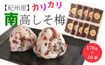 紀州産&nbsp;カリカリ南高しそ梅&nbsp;170g×10個&nbsp;hjumys028