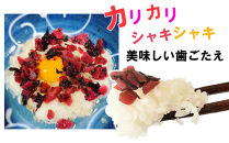 紀州産&nbsp;カリカリ南高しそ梅&nbsp;170g×10個&nbsp;hjumys028