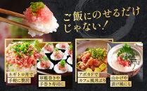 まぐろ&nbsp;たたき粗挽&nbsp;１kg&nbsp;100g×10パックセット&nbsp;ねぎとろ&nbsp;鮪&nbsp;冷凍&nbsp;静岡市