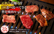 足柄牛3種焼肉セット（カルビ　上モモ　中落カルビ各250ｇ）【 肉 国産  神奈川県 小田原市 】
