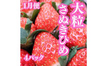 【定期便全３回】冬の美味しい果物