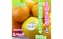 【定期便全３回】冬の美味しい果物