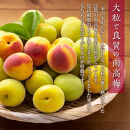 紀州南高梅&nbsp;はちみつ梅&nbsp;450g&nbsp;［Kn15］