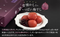 紀州南高梅&nbsp;しそ漬梅&nbsp;850g×1箱&nbsp;［Kn4］