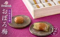 白板昆布巻おぼろ梅&nbsp;12粒&nbsp;［Kn24］