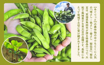 【角田市産秘伝豆使用】ずんだレアチーズケーキと秘伝豆入りカッサータのセット【あぐりっと】