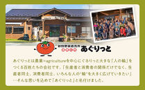 【角田市産秘伝豆使用】ずんだレアチーズケーキと秘伝豆入りカッサータのセット【あぐりっと】