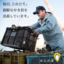 【復興支援】水上水産　能登のかき　半缶ガンガン焼き（約35～40個・ナイフ付）＜加熱調理用＞