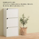 【完成品でお届け】扉付きカラーボックス〔3段〕（オーク）カラーボックス&nbsp;扉付き&nbsp;3段&nbsp;木製&nbsp;収納棚&nbsp;扉付き本棚&nbsp;リビング&nbsp;キッチン&nbsp;寝室&nbsp;雑貨&nbsp;小物&nbsp;収納&nbsp;大きめ&nbsp;CDラック&nbsp;扉付き収納ボックス&nbsp;隙間収納&nbsp;ラック&nbsp;AKANBR920131-0-OAK