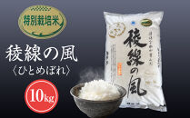 【信濃大町産】特別栽培米　稜線の風（ひとめぼれ） 10kg｜米  国産米 長野県産 人気 おすすめ お米 減農薬 新米 ごはん 和食 健康 送料無料 長野県 大町市 ふるさと納税