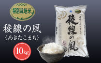 【信濃大町産】特別栽培米　稜線の風（あきたこまち） 10kg｜米  国産米 長野県産 人気 おすすめ お米 減農薬 新米 ごはん 和食 健康 送料無料 長野県 大町市 ふるさと納税