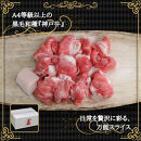 【ふるさと納税】【肉の天園】神戸牛&nbsp;切り落とし&nbsp;700g&nbsp;SI06