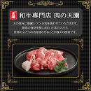 【ふるさと納税】【肉の天園】神戸牛&nbsp;切り落とし&nbsp;700g&nbsp;SI06