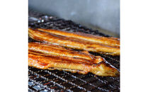 焼きあなご1串・蒲焼きうなぎ2尾食べ比べセット