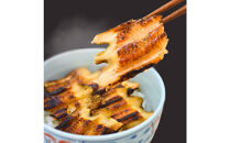 焼きあなご1串・蒲焼きうなぎ2尾食べ比べセット