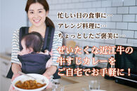 近江牛すじカレー 200g×3食