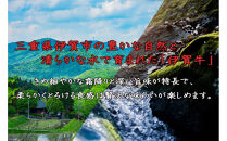 伊賀牛&nbsp;上カルビ焼肉&nbsp;約500ｇ