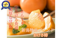 【家庭用】毎日食べたいから、ちょうどいい。M～Lサイズ　おまかせ（約7.5kg）