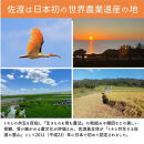 【新潟県佐渡】佐渡産の純粋コシヒカリ15kg＜数量限定＞&nbsp;令和７年産&nbsp;精米【無洗米】5kg×3袋