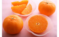 【定期便全6回】えひめかんきつ定期便