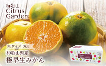 和歌山県産&nbsp;極早生みかん&nbsp;家庭用&nbsp;Mサイズ&nbsp;3kg&nbsp;［Sn13］