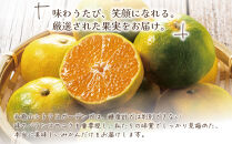 和歌山県産&nbsp;極早生みかん&nbsp;家庭用&nbsp;Lサイズ&nbsp;5kg&nbsp;［Sn8］