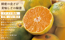 和歌山県産&nbsp;極早生みかん&nbsp;家庭用&nbsp;Lサイズ&nbsp;計10kg（5kgx2箱）&nbsp;［Sn9］