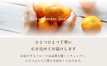 和歌山県産&nbsp;極早生みかん&nbsp;家庭用&nbsp;小玉（SSかSのいずれか、またはサイズ混合）&nbsp;5kg&nbsp;［Sn11］