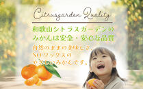 和歌山県産&nbsp;極早生みかん&nbsp;家庭用&nbsp;Mサイズ&nbsp;5kg&nbsp;［Sn14］