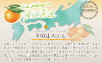 和歌山県産&nbsp;極早生みかん&nbsp;家庭用&nbsp;Mサイズ&nbsp;計10kg（5kgx2箱）&nbsp;［Sn15］