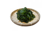 【湘南腰越名産！】湯通し「天然塩蔵わかめ」250g×2袋