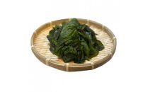 【湘南腰越名産！】湯通し「天然塩蔵わかめ」250g×2袋