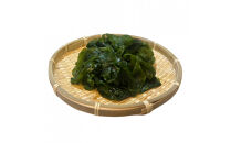 【湘南腰越名産！】湯通し「天然塩蔵わかめ」250g×2袋