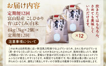 【令和7年産】定期便・12回&nbsp;&nbsp;富山県産こしひかり&nbsp;　育（はぐくみ）&nbsp;&nbsp;白米３kg×２袋《南砺の逸品》