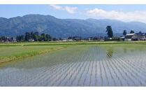 【令和7年産】定期便・12回  富山県産こしひかり 　育（はぐくみ）  白米５kg×２袋《南砺の逸品》