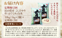 【令和7年産】定期便・12回&nbsp;&nbsp;富山県産こしひかり&nbsp;　育（はぐくみ）&nbsp;&nbsp;白米５kg×２袋《南砺の逸品》