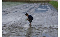 【令和7年産】定期便・隔月６回  富山県産こしひかり 育（はぐくみ）白米１０kg×２袋《南砺の逸品》