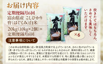 【令和7年産】定期便・隔月６回&nbsp;&nbsp;富山県産こしひかり&nbsp;育（はぐくみ）白米１０kg×２袋《南砺の逸品》