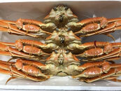 1102.【ボイル】訳あり　松葉ガニおまかせ2kg（3～7枚）※2025年11月上旬～2026年3月下旬頃に順次発送予定※着日指定不可