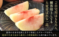 ［2026年発送分］［桃！数量限定先行予約！］川中島白桃&nbsp;約2kg&nbsp;6個入&nbsp;100個に1個の厳選品&nbsp;こだわり農家厳選！［KG33］