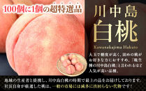 ［2026年発送分］［桃！数量限定先行予約！］川中島白桃&nbsp;約2kg&nbsp;6個入&nbsp;100個に1個の厳選品&nbsp;こだわり農家厳選！［KG33］