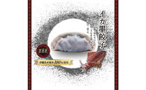 【琉みんみん】沖縄県産イカスミ餃子　4パック&nbsp;　48個入り