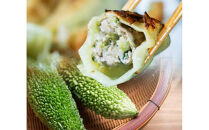 【琉みんみん】沖縄餃子&nbsp;詰め合わせパック　4パック&nbsp;　48個入り