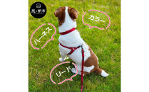 香川県産&nbsp;丈夫でやさしい綿帆布リード&nbsp;天然コットン&nbsp;レッド、1点