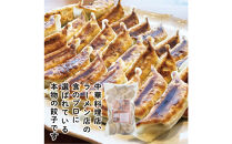 【&nbsp;ぎょうざの横濱黄河&nbsp;】野菜たっぷり！冷凍生餃子&nbsp;プレーン50個