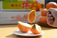 【先行予約：2025年11月中下旬～発送】富有柿&nbsp;「訳あり」採れたて産地直送&nbsp;「ご家庭用」2Lサイズ24個入【岐阜県大野町産】