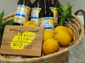 「寶CRAFT」＜大阪泉北レモン＞【宝酒造&nbsp;クラフトチューハイ】