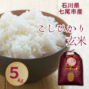 【令和7年産】石川県七尾市産 コシヒカリ 玄米 5Kg