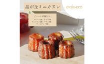 【星が丘ミニカヌレ アソートセット10個入り】フランスの焼き菓子 スイーツ 美味しい おすすめ 冷凍 愛知県 人気 高級