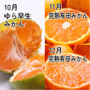 厳選&nbsp;柑橘定期便S（10～12月）全3回&nbsp;［IKE291］